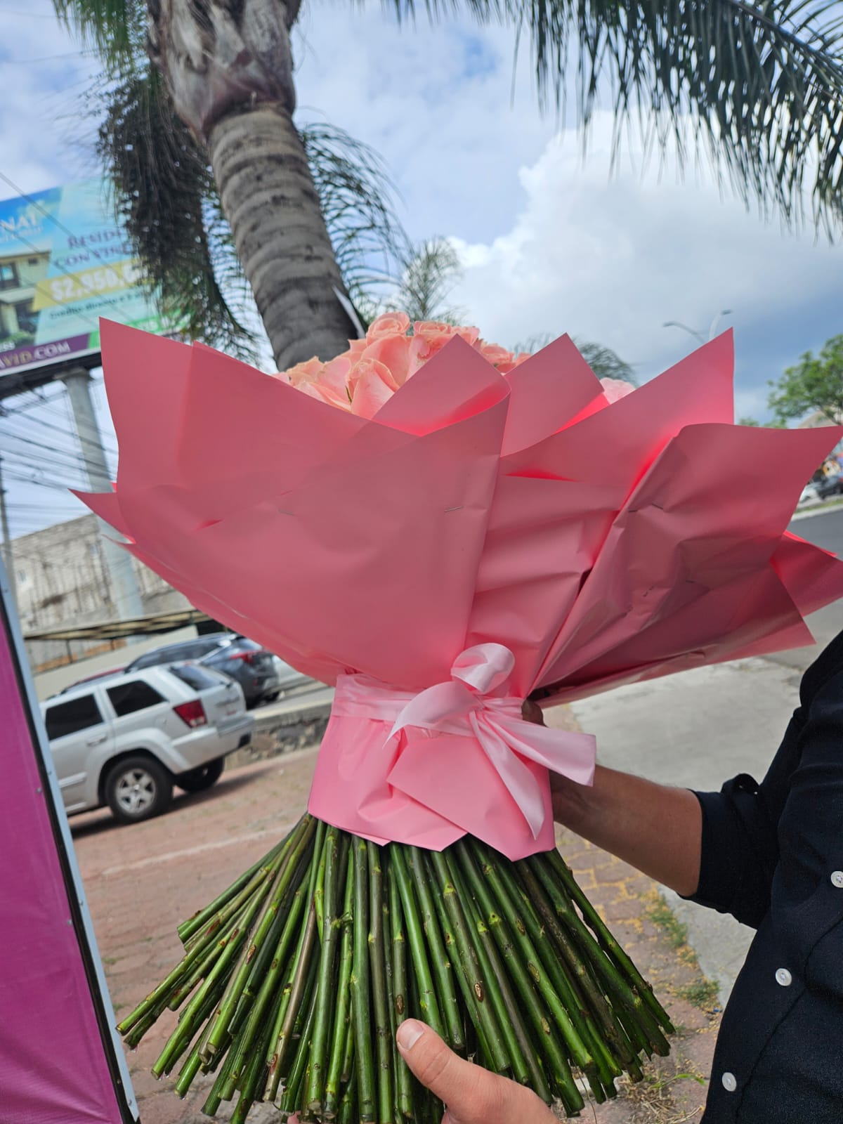 RAMO PALO DE ROSA - 200 ROSAS