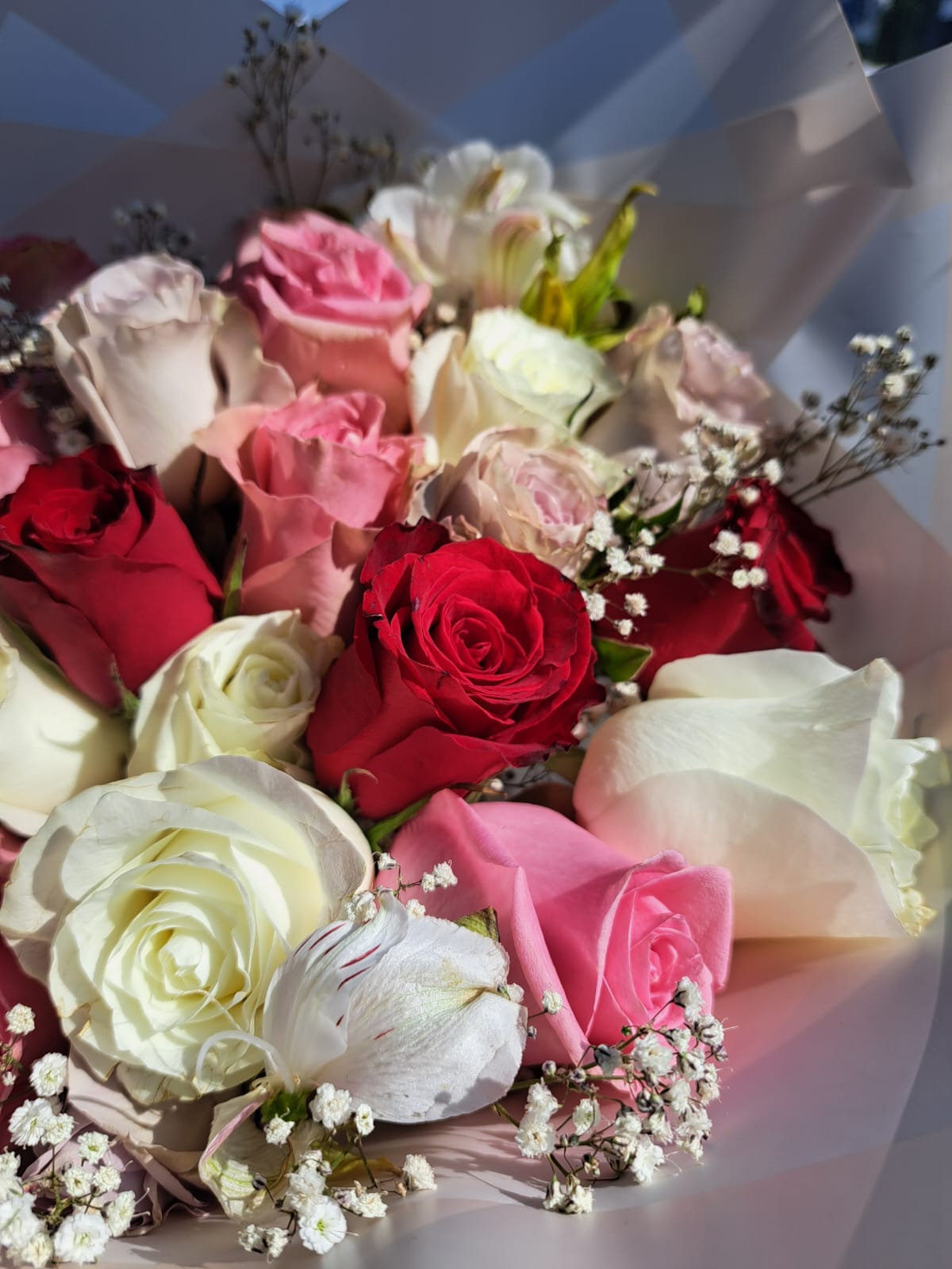 RAMO Premium 24 rosas