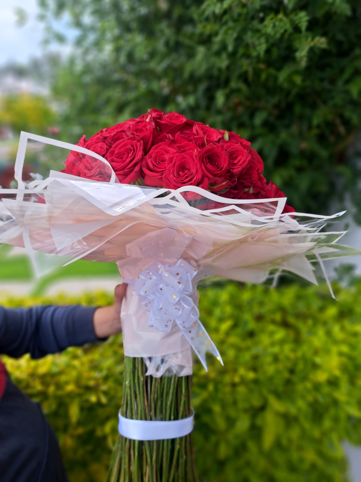 RAMO AMOR PREMIUM 200 ROSAS