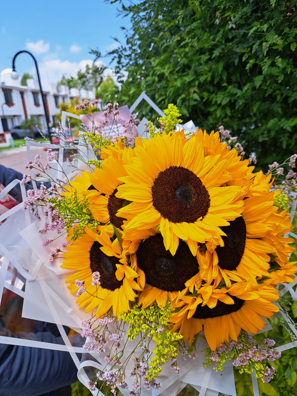RAMO Premium 10 Girasoles Romantico