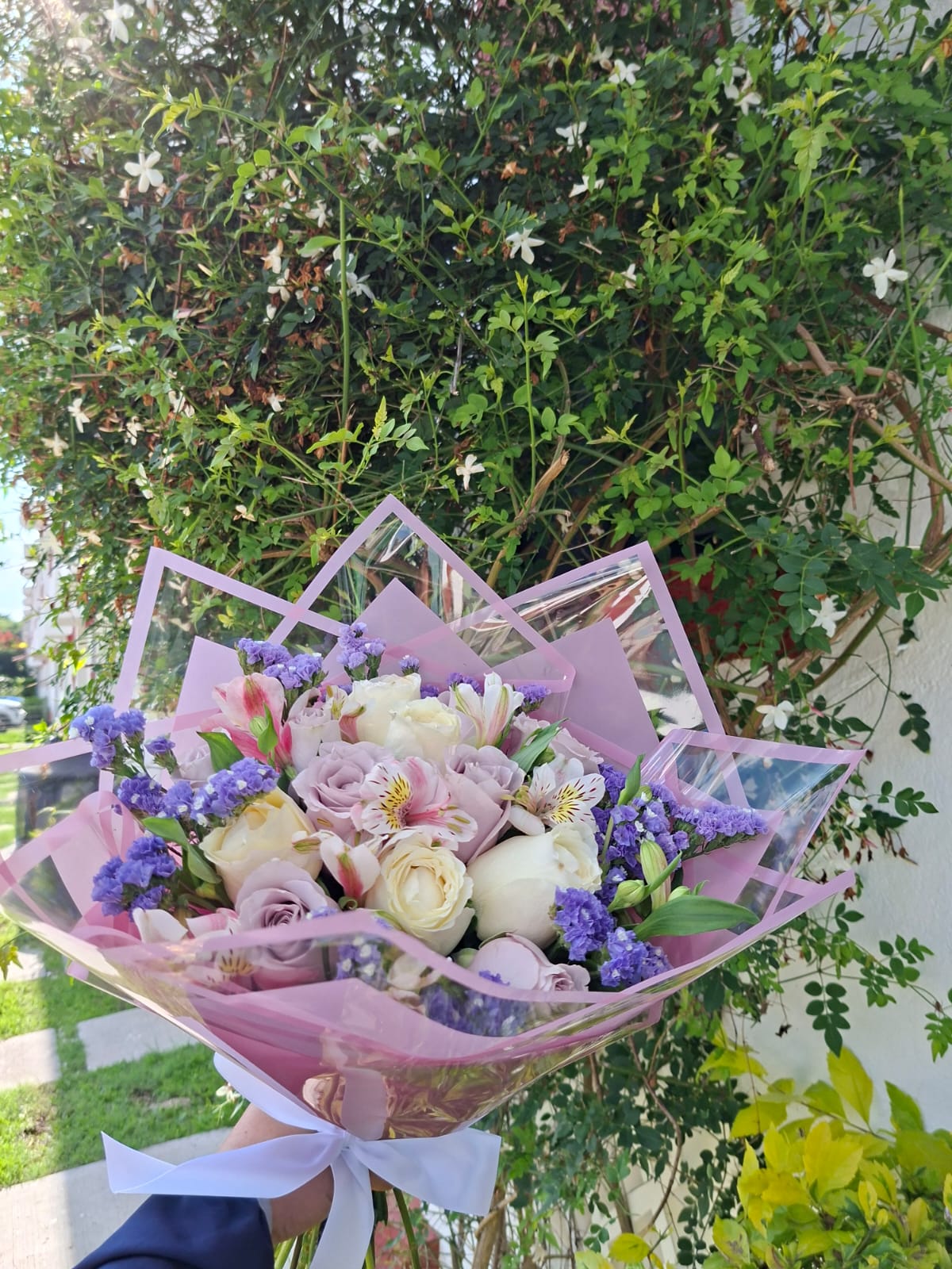 Ramo de 12 Rosas Armonía