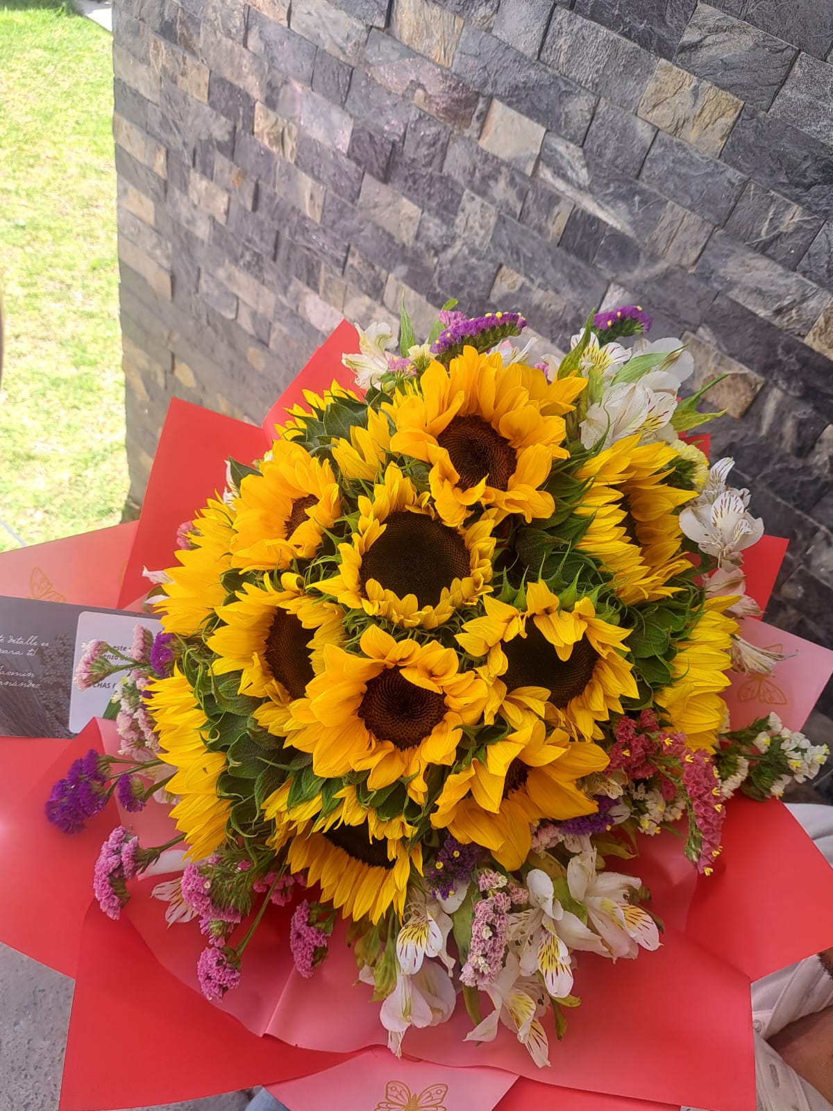 GIRASOLES