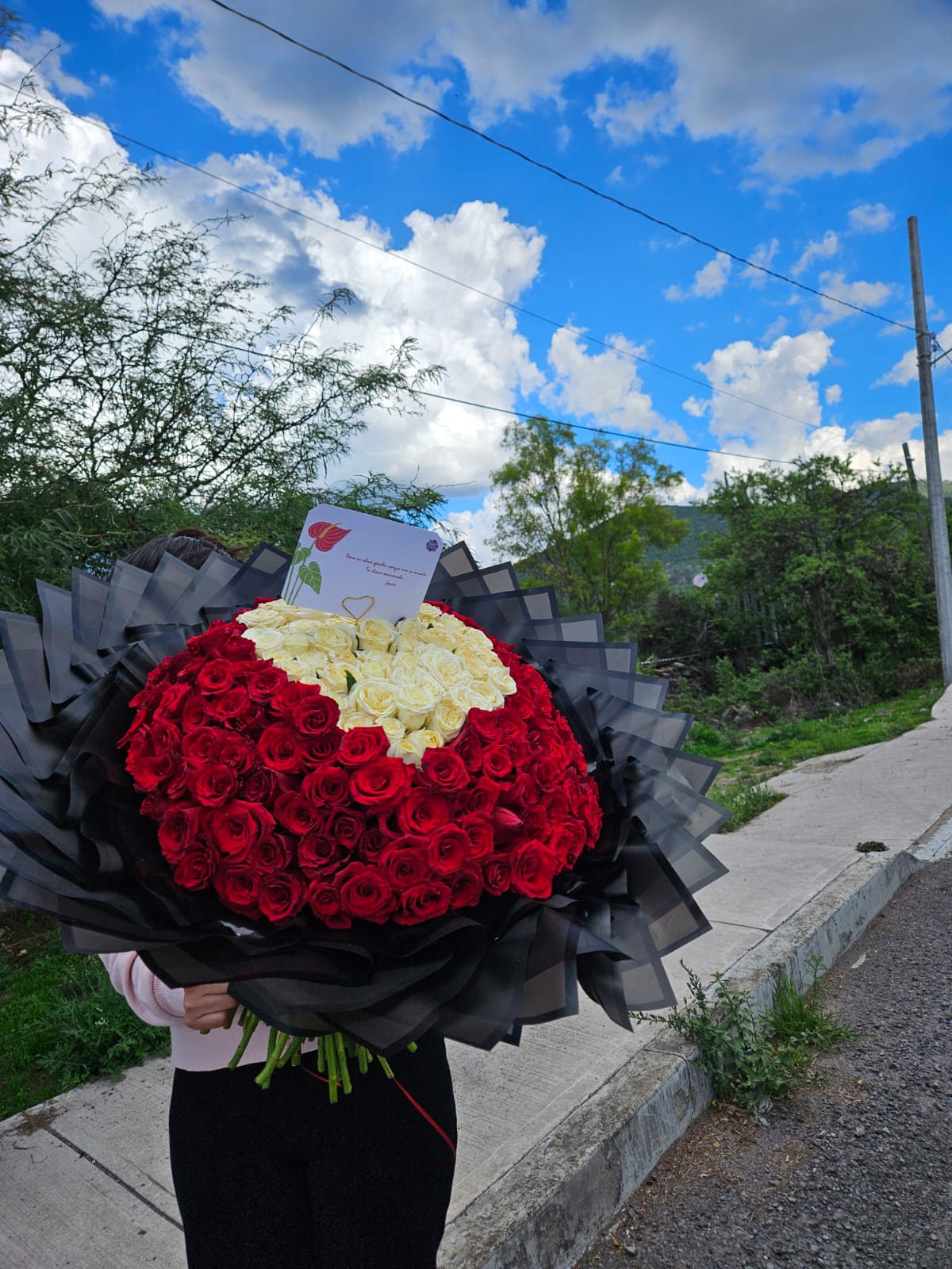 RAMO CORAZÓN - 200 ROSAS