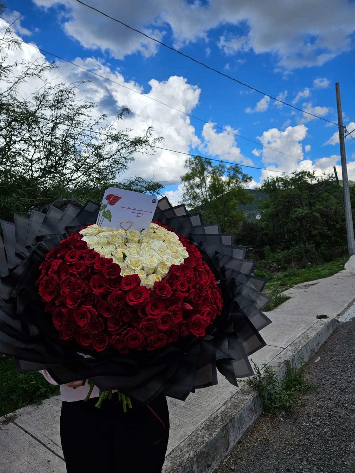 RAMO CORAZÓN - 200 ROSAS