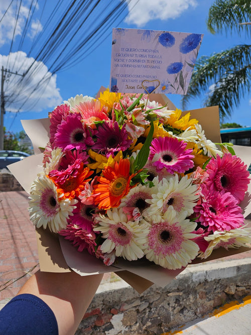 RAMO Luz de Verano - 30 Gerberas y 5 Girasoles
