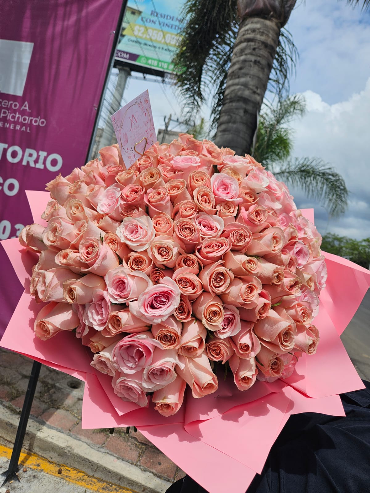 RAMO PALO DE ROSA - 200 ROSAS