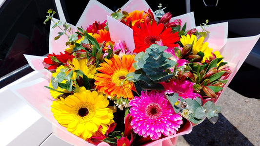 RAMO Premium 10 Gerberas Multicolor