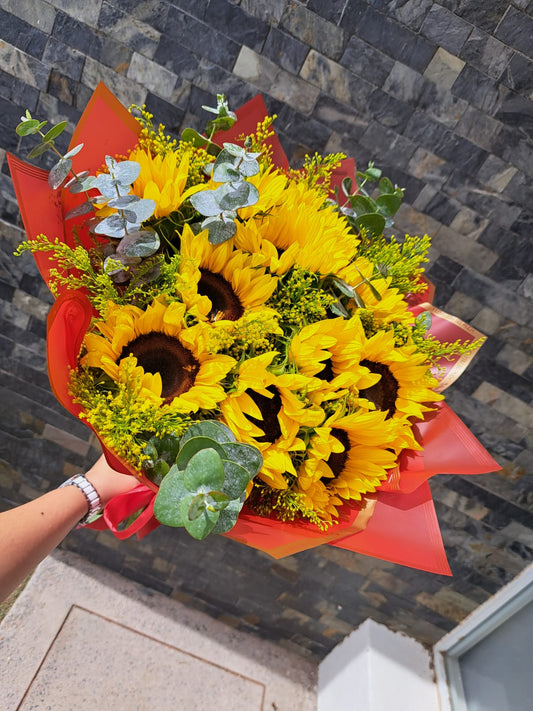RAMO Premium 10 Girasoles