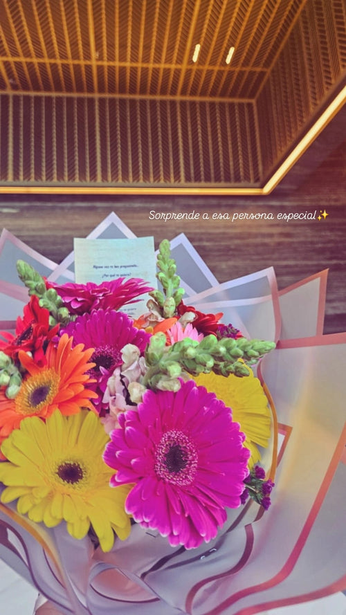 RAMO Premium 10 Gerberas Multicolor