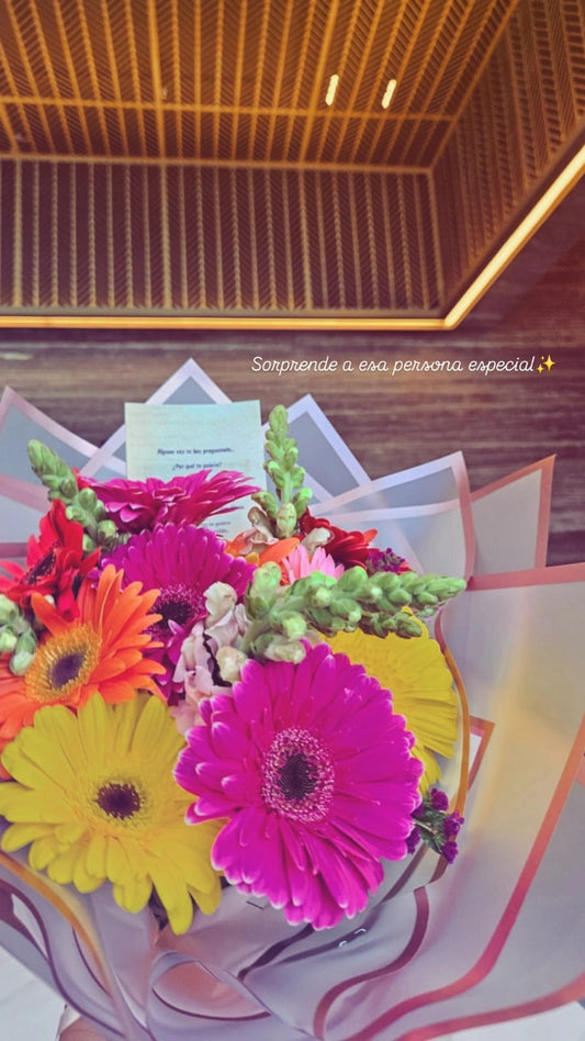 RAMO Premium 10 Gerberas Multicolor
