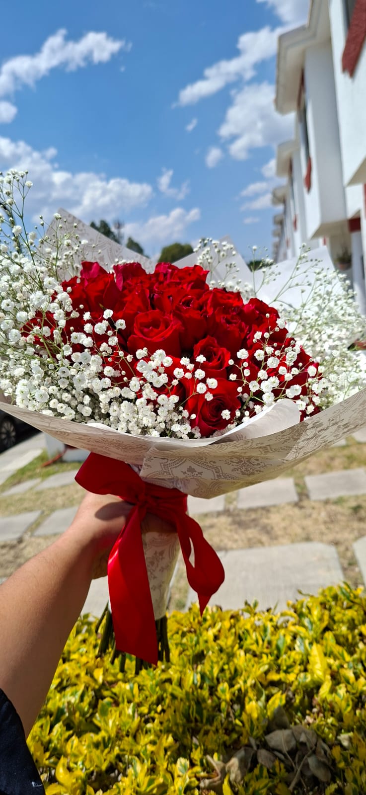 RAMO Premium 50 rosas rojas