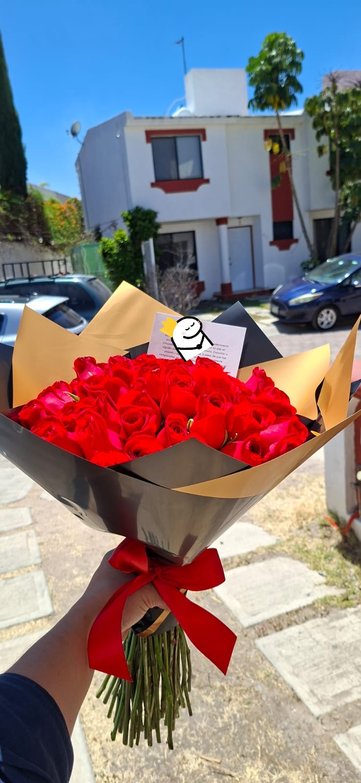 RAMO Premium 50 rosas rojas