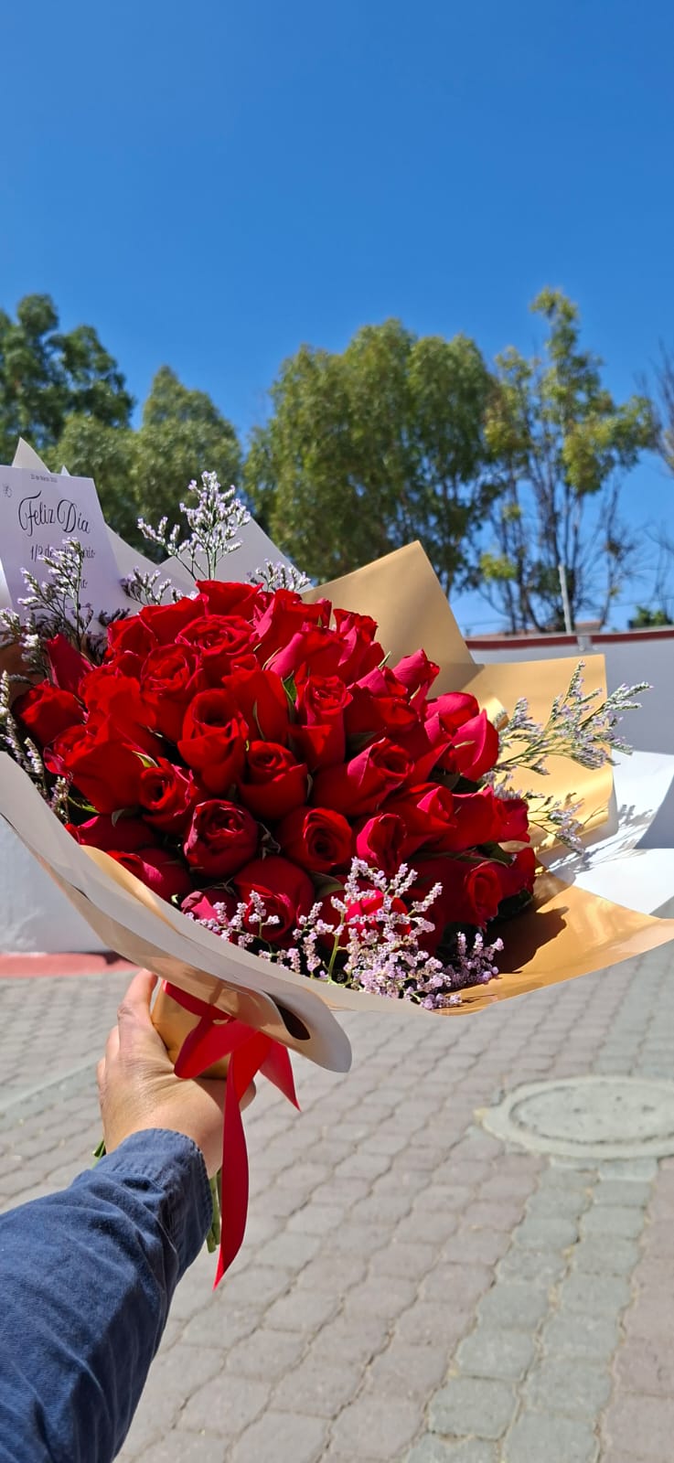 RAMO Premium 50 rosas rojas