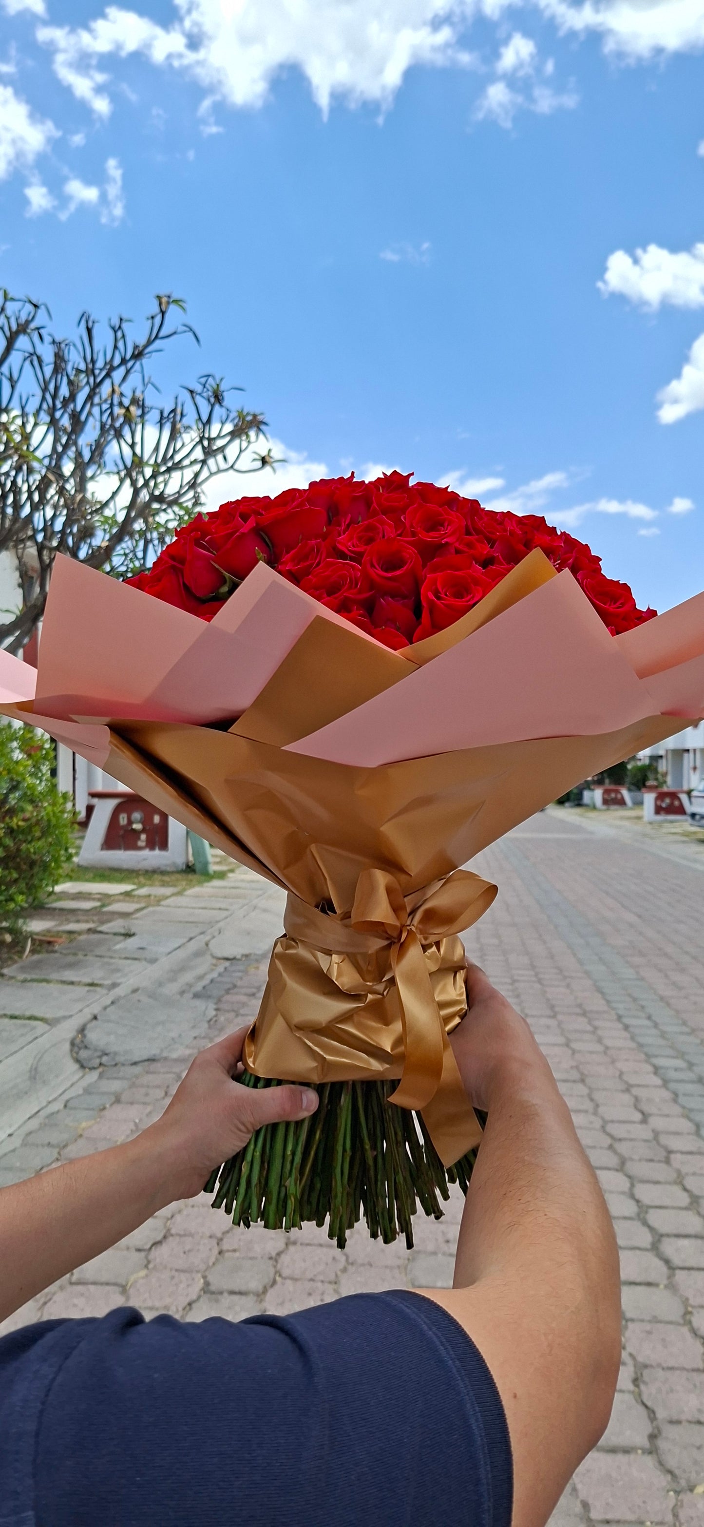 RAMO  PREMIUM 200 ROSAS